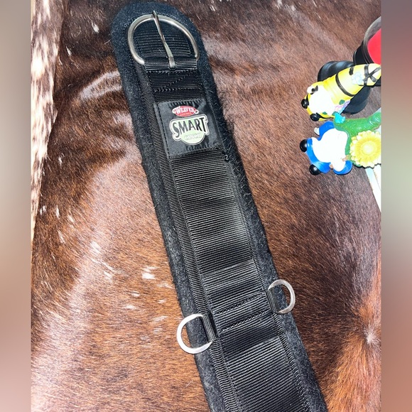 HORSE TACK! 🐴  (Cinch & 2 Bits) FREE SHIPPING! - Picture 1 of 7
